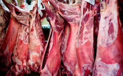 Danmark eksporterer kød til hele verden