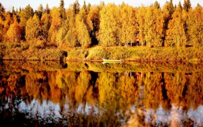 Smukke skovsøer og smukke efterårsfarver