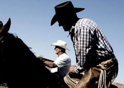 cowboys and horses